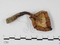 登錄號:F0025828藏品圖，第3張