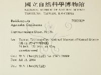 登錄號:F0025829藏品圖，第2張