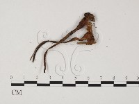 登錄號:F0025829藏品圖，第3張