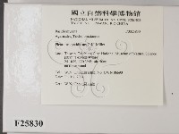登錄號:F0025830藏品圖，第2張