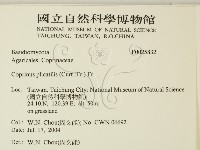 登錄號:F0025832藏品圖，第2張