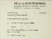 登錄號:F0025833藏品圖，第2張