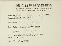 登錄號:F0025834藏品圖，第2張