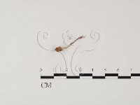 登錄號:F0025834藏品圖，第3張