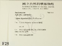 登錄號:F0025835藏品圖，第2張