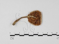 登錄號:F0025835藏品圖，第3張
