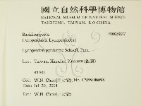 登錄號:F0025837藏品圖，第2張