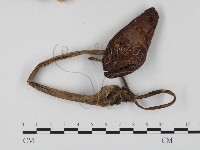 登錄號:F0025838藏品圖，第1張