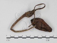登錄號:F0025838藏品圖，第3張