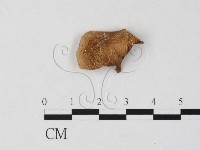 登錄號:F0025839藏品圖，第1張