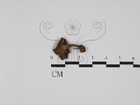 登錄號:F0025840藏品圖，第3張