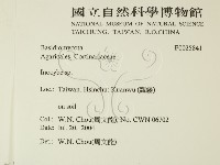 登錄號:F0025841藏品圖，第2張
