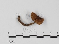 登錄號:F0025841藏品圖，第1張