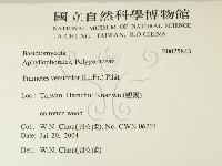 雲芝藏品圖，第2張