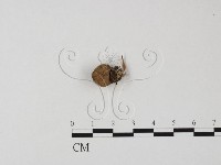 登錄號:F0025844藏品圖，第3張