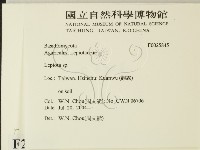 登錄號:F0025845藏品圖，第2張