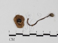 登錄號:F0025845藏品圖，第1張