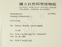 乳菇屬藏品圖，第2張
