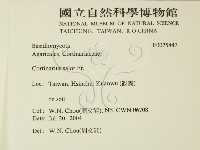 登錄號:F0025847藏品圖，第2張