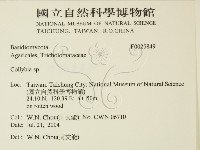 登錄號:F0025849藏品圖，第2張