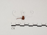 登錄號:F0025849藏品圖，第1張