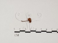 登錄號:F0025849藏品圖，第3張