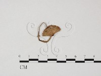 登錄號:F0025850藏品圖，第3張