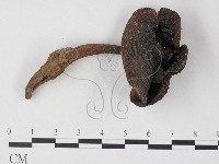 登錄號:F0025852藏品圖，第1張