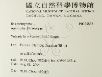 登錄號:F0025853藏品圖，第2張