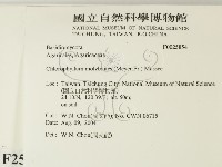 登錄號:F0025854藏品圖，第2張