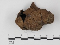 登錄號:F0025855藏品圖，第1張