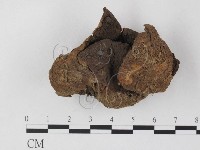 登錄號:F0025855藏品圖，第3張