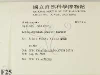 登錄號:F0025857藏品圖，第2張