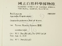 登錄號:F0025859藏品圖，第2張