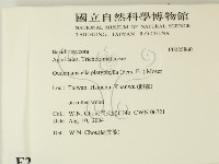 登錄號:F0025860藏品圖，第2張