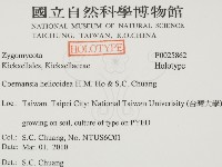 登錄號:F0025862藏品圖，第2張