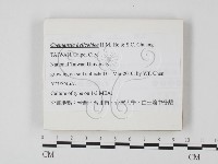 登錄號:F0025862藏品圖，第1張