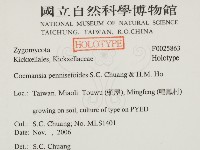 登錄號:F0025863藏品圖，第2張