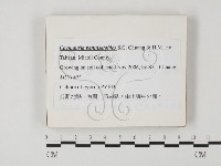 登錄號:F0025863藏品圖，第1張