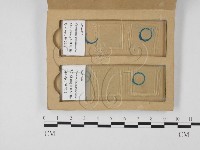 登錄號:F0025863藏品圖，第3張