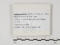 登錄號:F0025864藏品圖，第1張