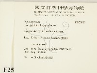登錄號:F0025865藏品圖，第2張
