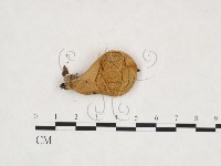登錄號:F0025865藏品圖，第3張