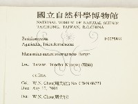 登錄號:F0025866藏品圖，第2張