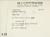 登錄號:F0025867藏品圖，第2張