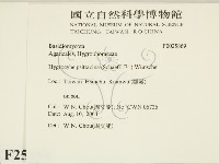 登錄號:F0025869藏品圖，第2張