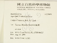 登錄號:F0025870藏品圖，第2張