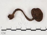 登錄號:F0025871藏品圖，第1張