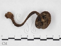 登錄號:F0025871藏品圖，第3張