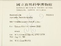 登錄號:F0025872藏品圖，第2張